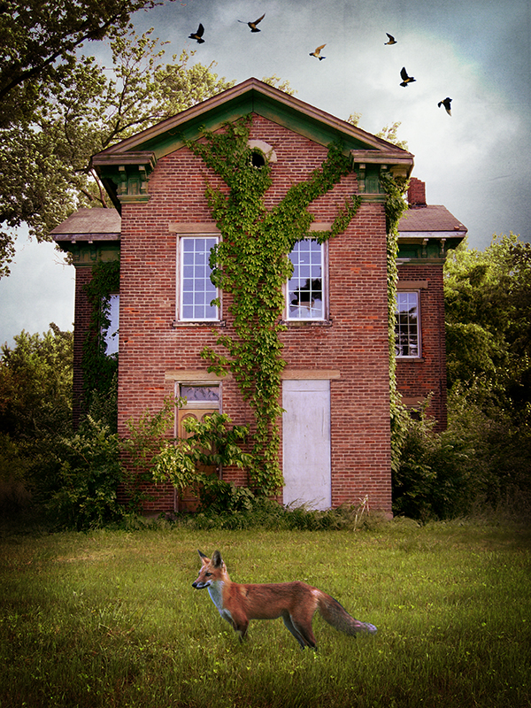 Abandoned House